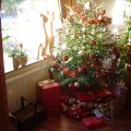 DSC00596