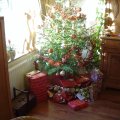 DSC00597