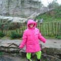 DSC00461