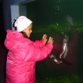 DSC00464