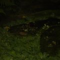 DSC00479