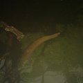 DSC00480