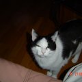 DSC00039