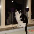 DSC00041