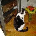 DSC00048