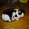 DSC00050