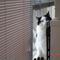 DSC00057