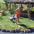 DSC00253