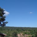 DSC00279