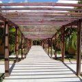 DSC00357