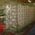 DSC00401