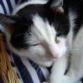 DSC00191