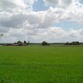DSC00236