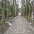 DSC00737