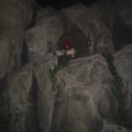 DSC01110