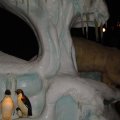 DSC01126