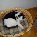 DSC01167