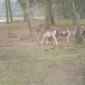 DSC01819