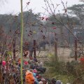 DSC01861