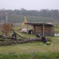 DSC01869