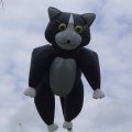 DSC02161
