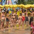 IMG_0587