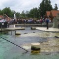 IMG_1270