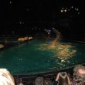 IMG_1284