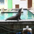 IMG_1305