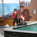IMG_1308