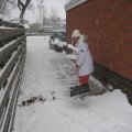 IMG_0956