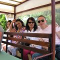 IMG_1074