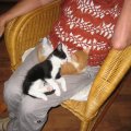 IMG_2819