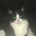 IMAG0186