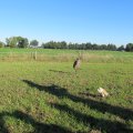 IMG_0880