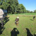IMG_0884