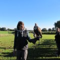 IMG_0897