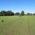 IMG_0964