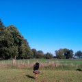IMAG0288