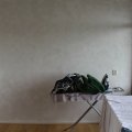 IMG_0557