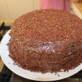 IMG_0361