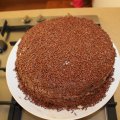 IMG_0362