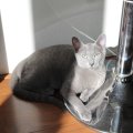 IMG_1169