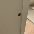 IMG_0239