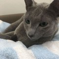 IMG-20180505-WA0002