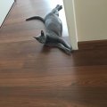 IMG-20180810-WA0000