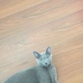 IMG-20180810-WA0001