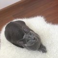 IMG-20181014-WA0000