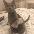 IMG-20181122-WA0002