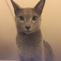 IMG-20181125-WA0001